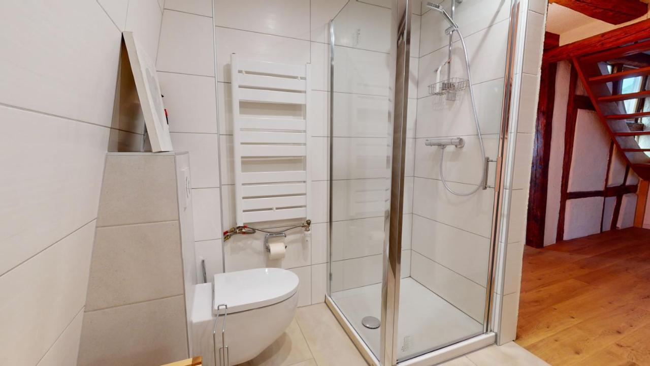 Appartement La Balade De Molly à Colmar Extérieur photo