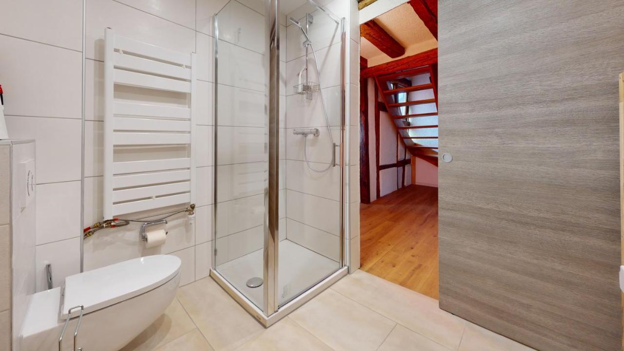 Appartement La Balade De Molly à Colmar Extérieur photo